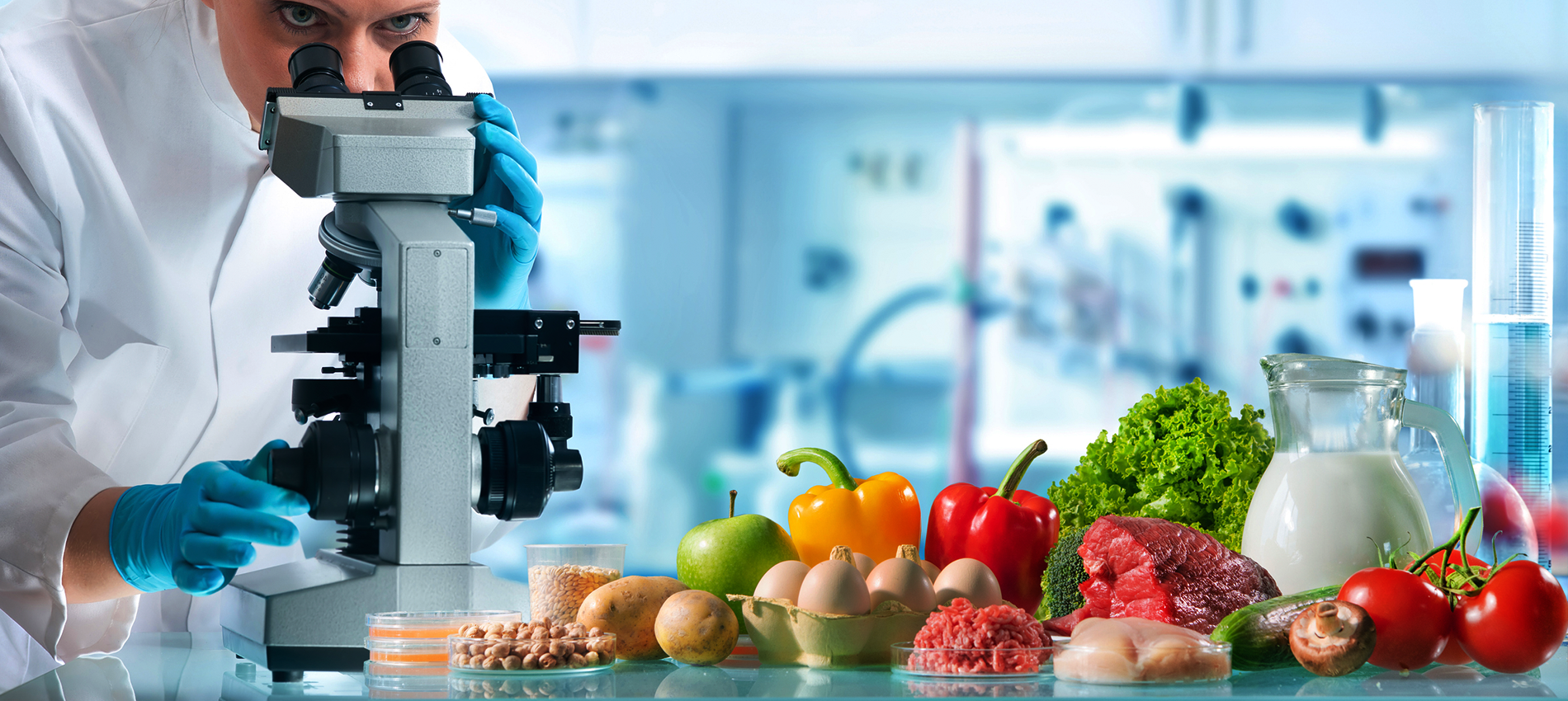 IMPLEMENTACIÓN<br>DE NORMAS DE<br>INOCUIDAD<br>ALIMENTARIA